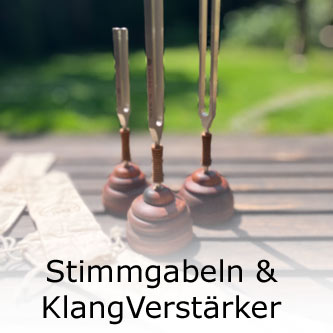 Stimmgabeln und Verst&auml;rker